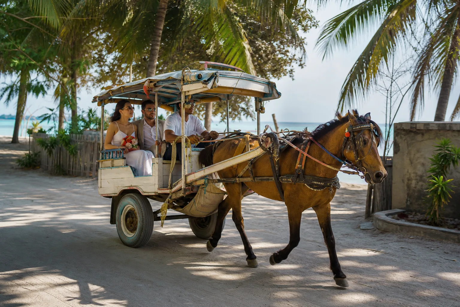 Wedding couple using a traditional cidomo on Gili Trawangan